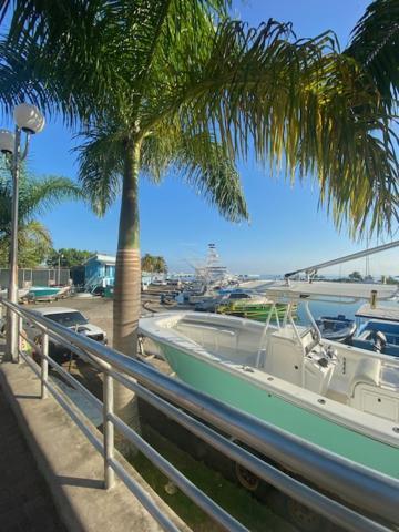 Ocho Rios Vacation Resort Property Rentals Esterno foto